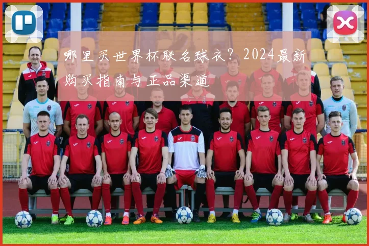 哪里买世界杯联名球衣?2024最新购买指南与正品渠道