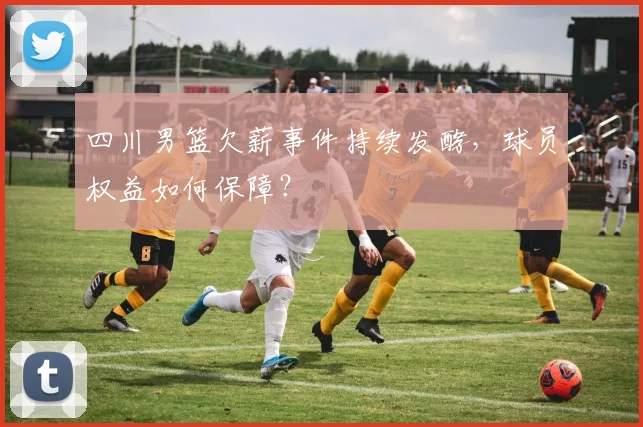 四川男篮欠薪事件持续发酵，球员权益如何保障？