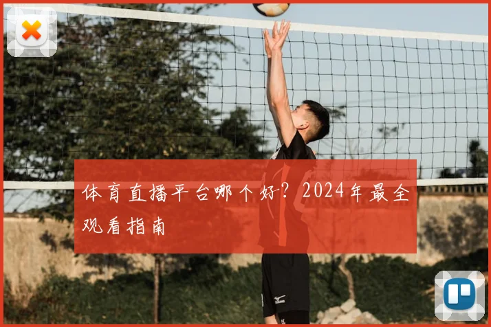 体育直播平台哪个好?2024年最全观看指南