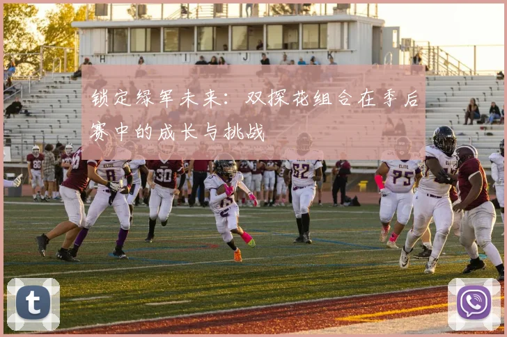 锁定绿军未来：双探花组合在季后赛中的成长与挑战