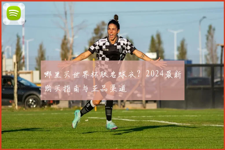 哪里买世界杯联名球衣?2024最新购买指南与正品渠道